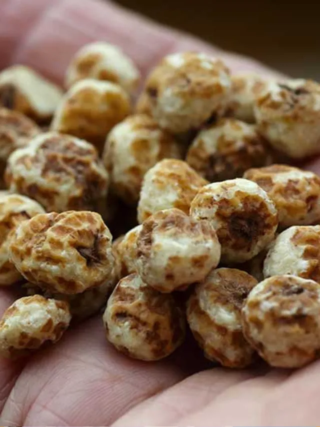 Tiger Nut